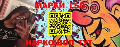 шишки Лесосибирск