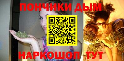 шишки Лесосибирск