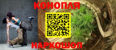 шишки Лесосибирск