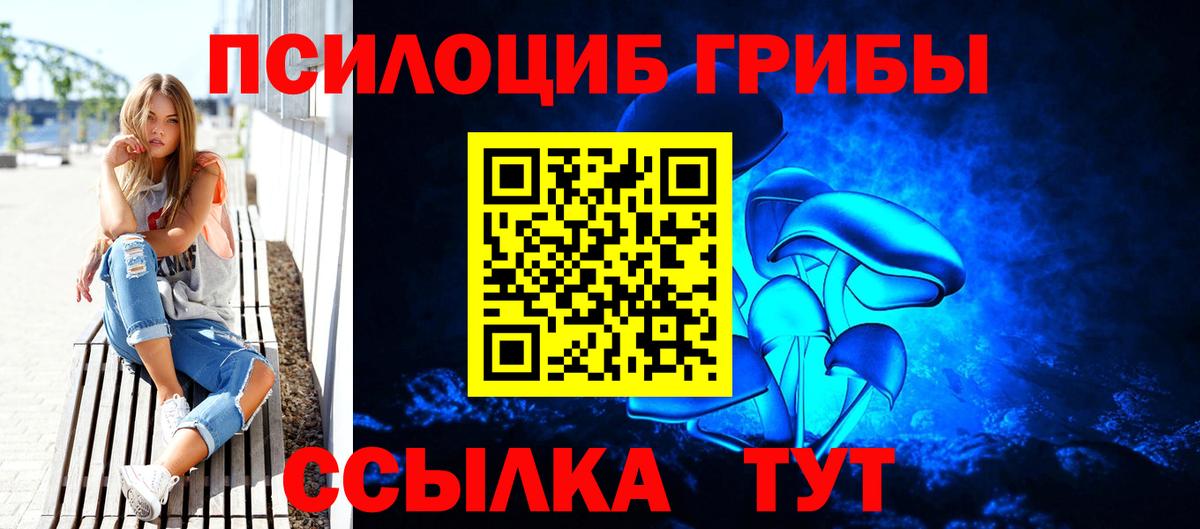 Топки  Псилоцибиновые грибы Cubensis  Псилоцибиновые грибы Psilocybe  Вход с VPN 